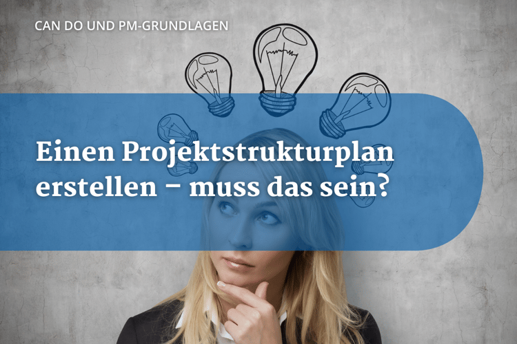 Wissensbeitrag Projektstrukturplan