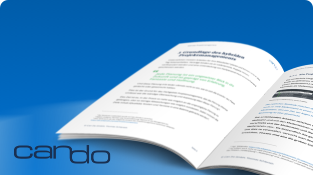 Hybrides Projektmanagement Handbuch