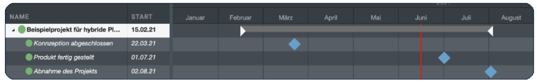 Projektmeilenstein in Projektmanagement Software