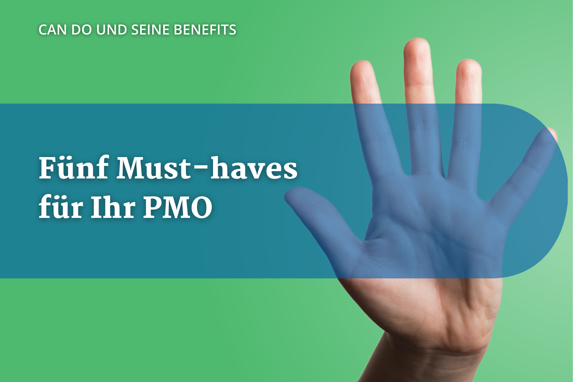 Blogbeitrag Header 5 Must Haves für Ihr PMO