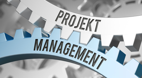 Projektmanagement Kompetenzen verändern sich