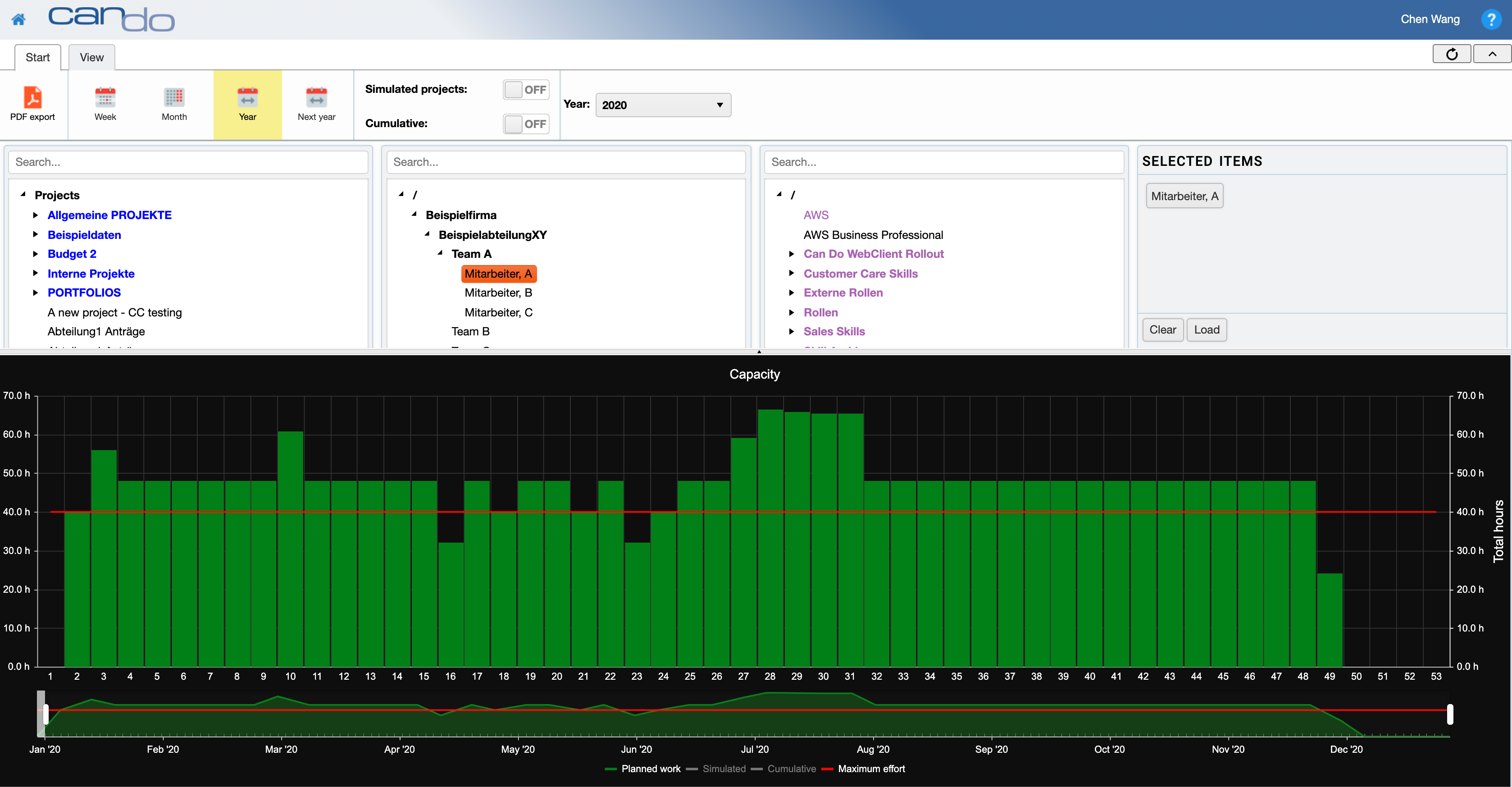 Main Feature 1_Roles & Skill-based RM_Capacity Analysis